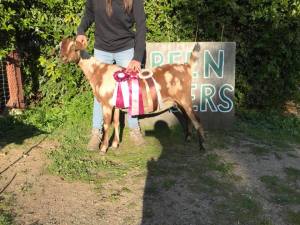 blackberry's charcoal