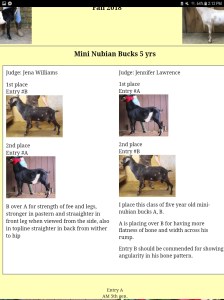 Screenshot_20181031-141227